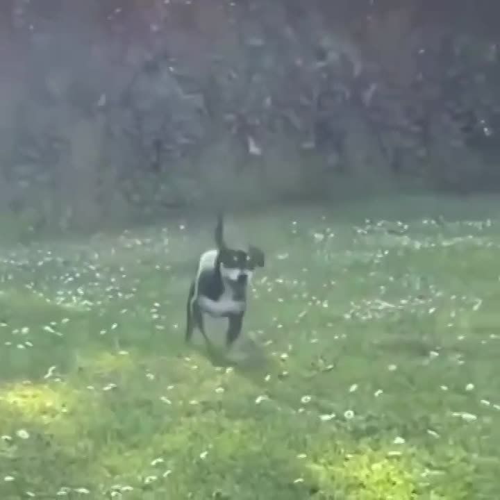 ������ ����! ������� ��������!