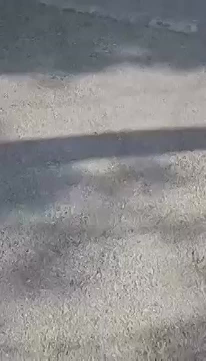 ��������� ������������ ��������