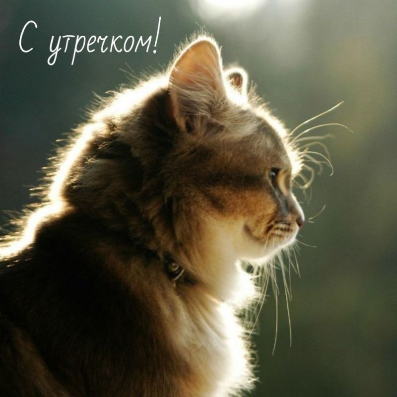 � ������ �����!. ������ � �������� �� �������: