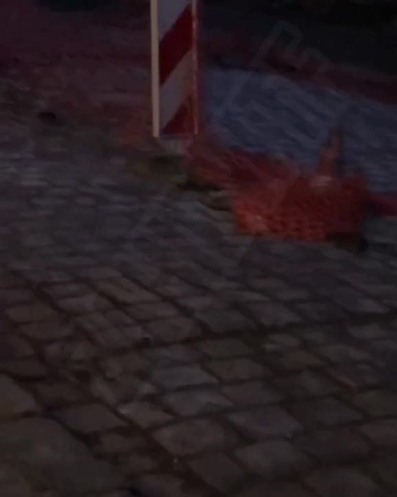 ��������� ���� �� ������