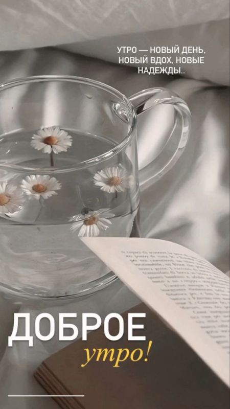 � ������ �����! �������� � ������������� ���!