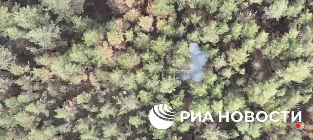 ����� 6-� ����� �������� ����������� ����� ������� ��������� ������������ ���������� ������ � ����������� �������