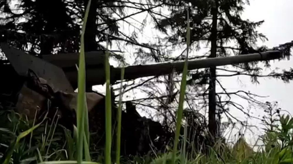 ���� ����� ���� ��� ����� ������� ���������� �� ������ �������������� ����������� �������� ���, � ����� ������ ����������� � ������������� ������������ ����������