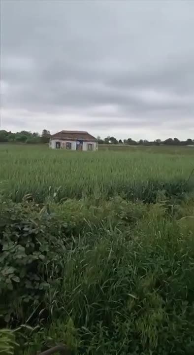 ���������� ������� �� ����� �������