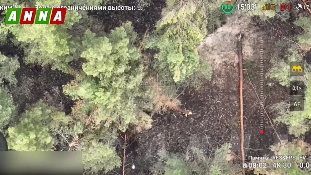 ������������ ������� ����� �� ���������� � ����������� �������