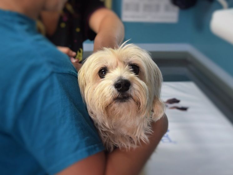 � ������ �� �������� �� ����� ���� ����� ��������� ��������� �������� �������� �� ���������