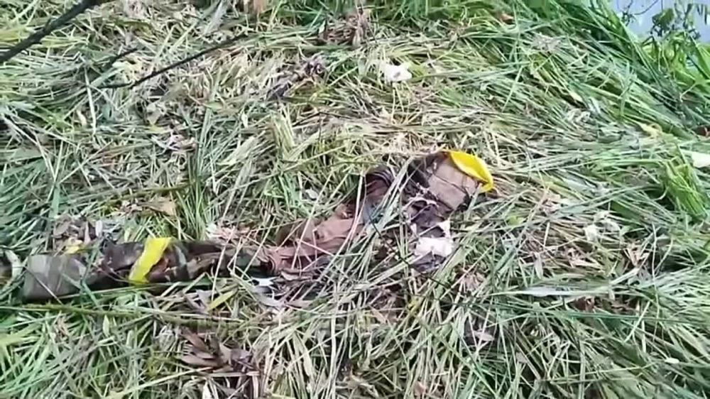 ����� � ����� ����������� ������������ ������ ��� ������� (��� ���������� ���) � ������ ����� ����������