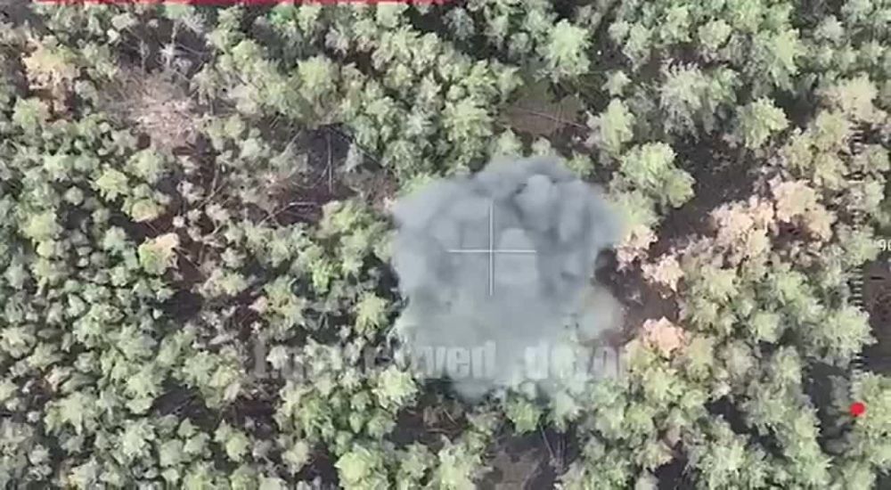 6 ����� �������� ����������� ������������ � ����������� ��������