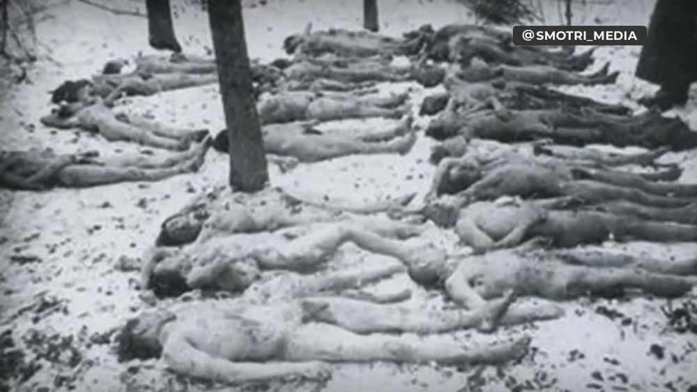 �������� ����� ������� ������ ���������� �������� ���������� ������ �� �������������� ������������ ������������ � �����������