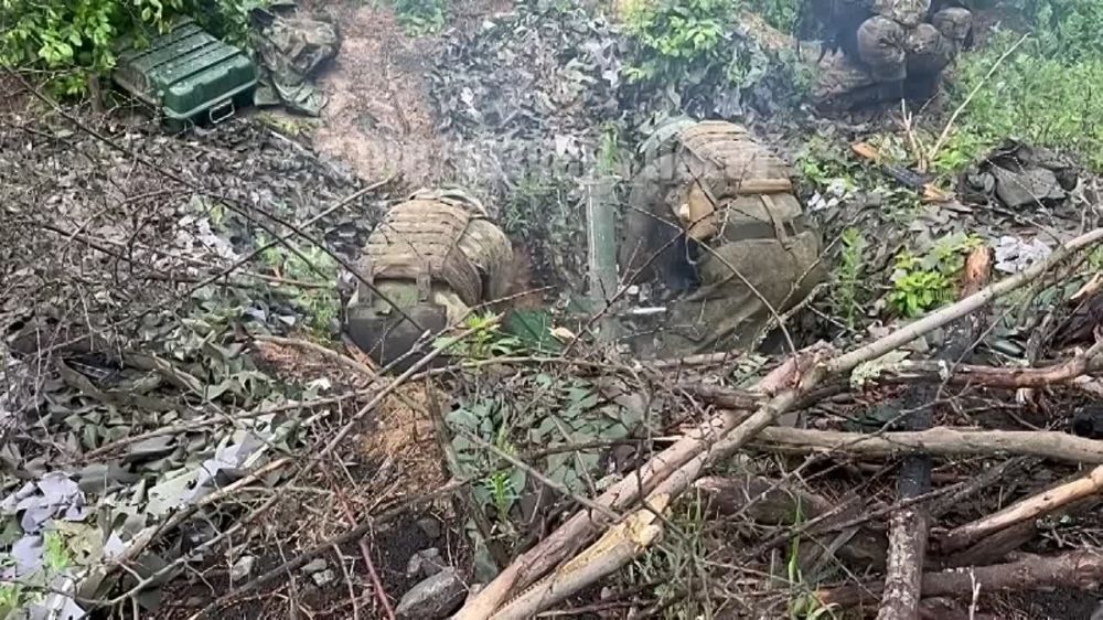 ����������� �������� ����������� �������� �� �������� ����� ��� ���������