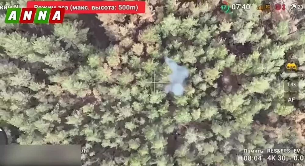 ���������� ������ ��������������� �� ������������ �����������