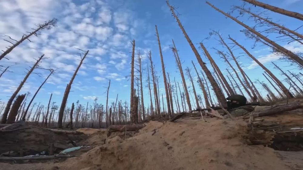 ���������� ������ ���������� ����������� ������� ���������������� � ��������������� �� ����-�������� � �������� ������������