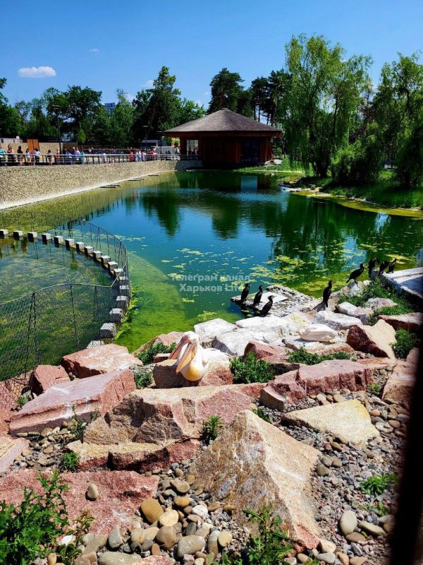 ����������� ������� �������