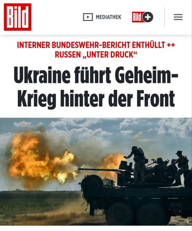 �����-�� ����� ����� �������� ������� Bild