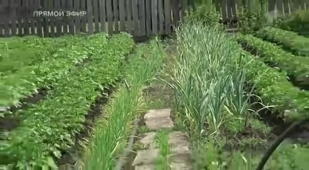 ������� �������: ������ ��� ������������ �����: