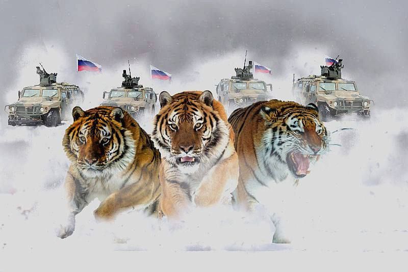 � ������ �����! ����� ����!