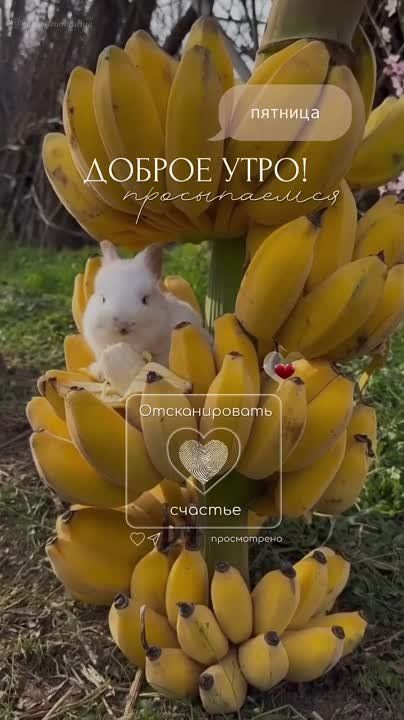 � ������ �����! �������� ���!