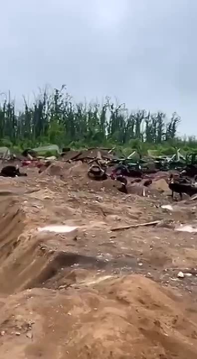 �.�. ����������, ����������� �������. ������� �� �������. ���� �� ��������� ������������� ��������, ��������� ���� ����, � �� ������� ��� ���� ���� �� ������ ��������