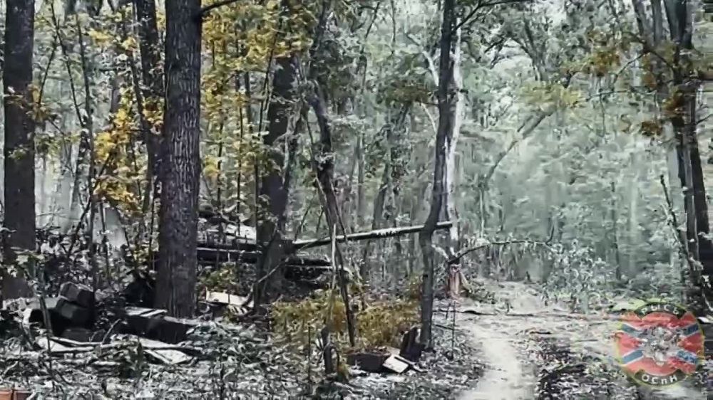 ���� ������ � ����������� �������� �������������, ����������� ������ ������ � ���� ���������� ����������� ������� ��������