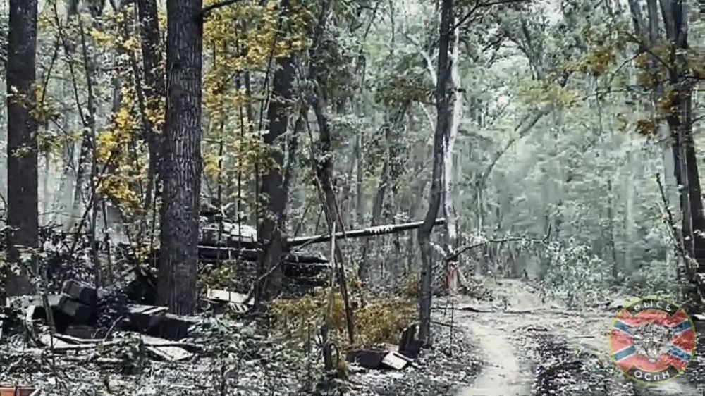 ���� ������ � ����������� �������� �������������, ����������� ������ ������ � ���� ���������� ����������� ������� ��������