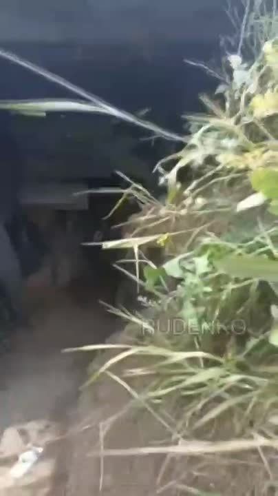 Методы работы командиров ВСУ с личным составом