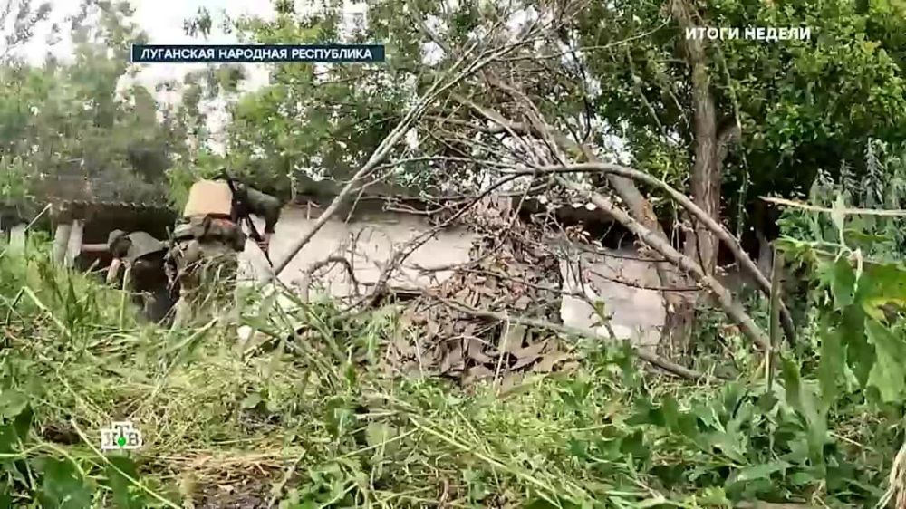 �� ����� ����������� � ��������� �������� �����-����������� ������ �������