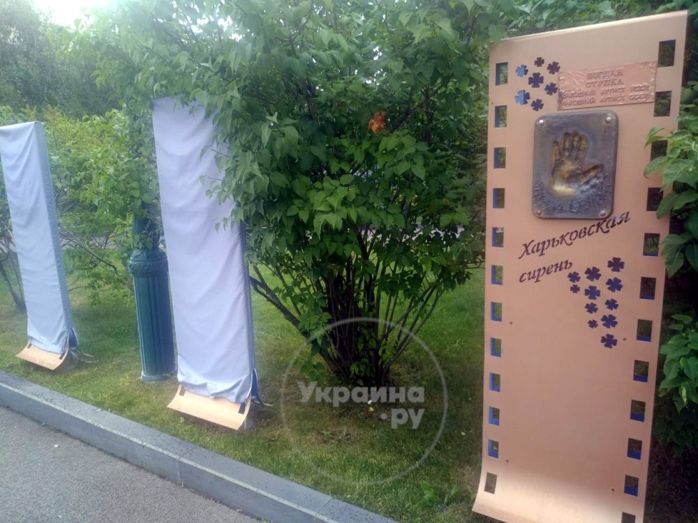 ������� � ���� ������-���������..