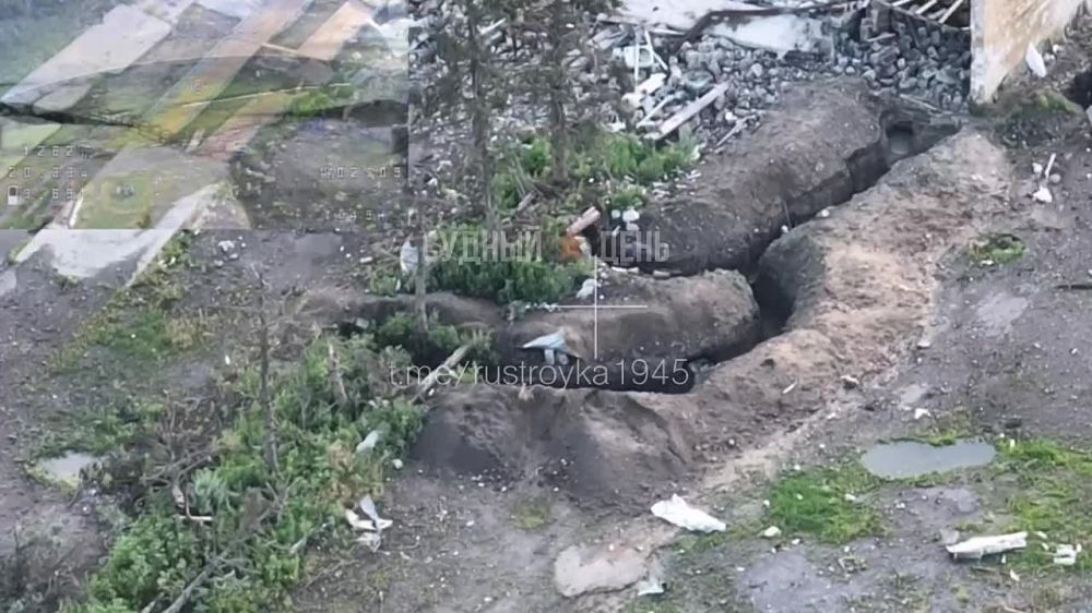 �� �� ������ ���������� ��������