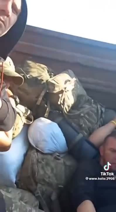 Укровоины все жалуются, что к ним относятся как к скотине