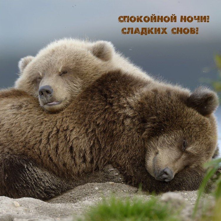 ������ ����, ������� ����������!