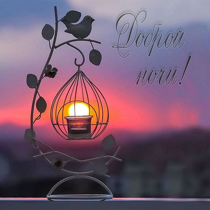 ��������� ����, ���� �����!