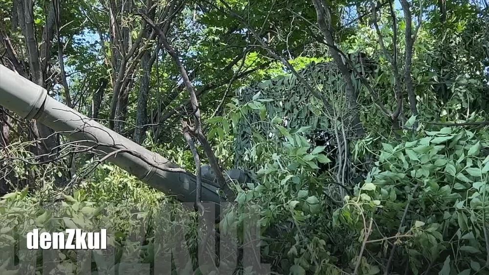 ����� ������: ������� ������� 2�3 �������� �������� ����������� �����