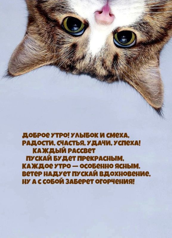 � ������ �����!. ������ � �������� �� �������: ����������� ������� +20�+27�C