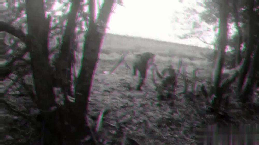 ��������� �����������. ������������ ������ ��������� �� �������������� �������� ���� �� 82�� �������� #������� #��� ��� ����� | ��� ��� | ��� ���