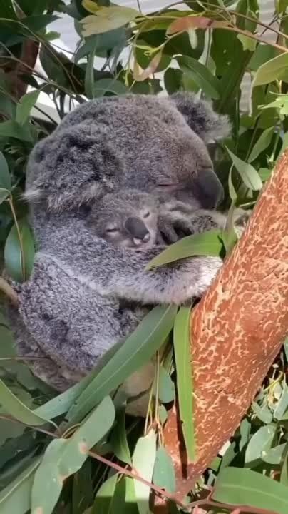 ������ ����, ������� ����������!