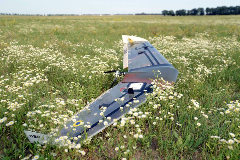 ����������� ����������� ���� � ������������ �������