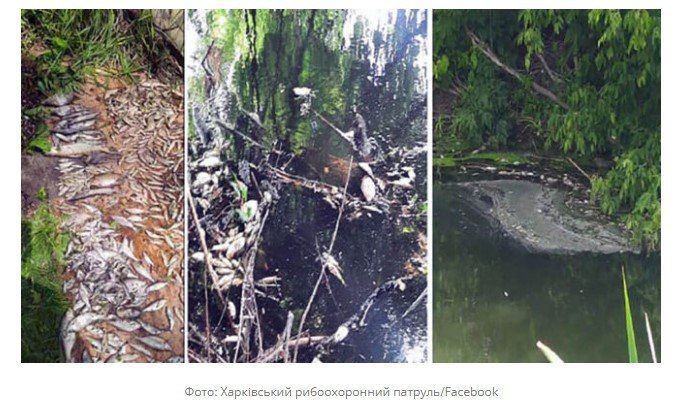 � ����������� ������� ������� �������� ��� ����