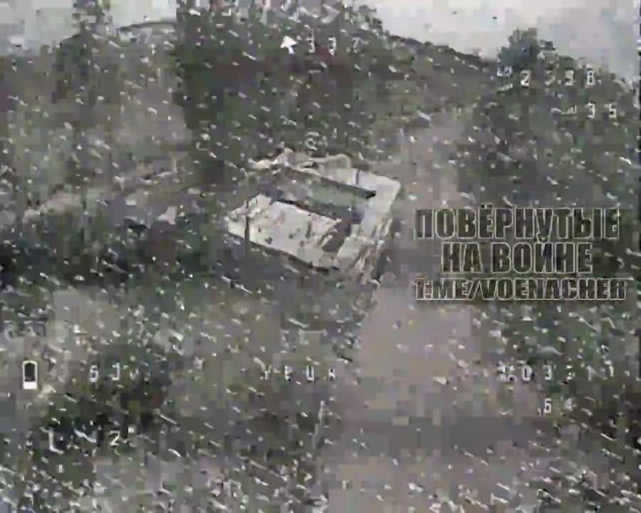 ����� ������� ���� ������� � ����-���� ��� � ����������� �������