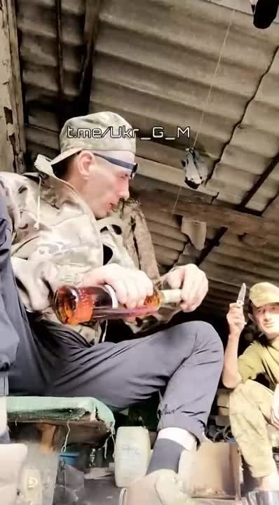 ��� � ����������. "�� �����������, �������� ����� � �� ������!"������� �������� "��������� ���� ��������" ��������� #�������� #��� #���������� ��� ����� | ��� ��� | ��� ���