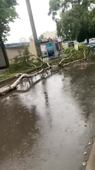 ����������� ��������, ��� � ������ ������ ����������� �������� � ��������