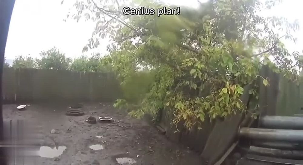 ����������(09.07.23):. ������� �����: ������ vs ����� ������ ������ ����������� ������� - �� ������! "�����������...