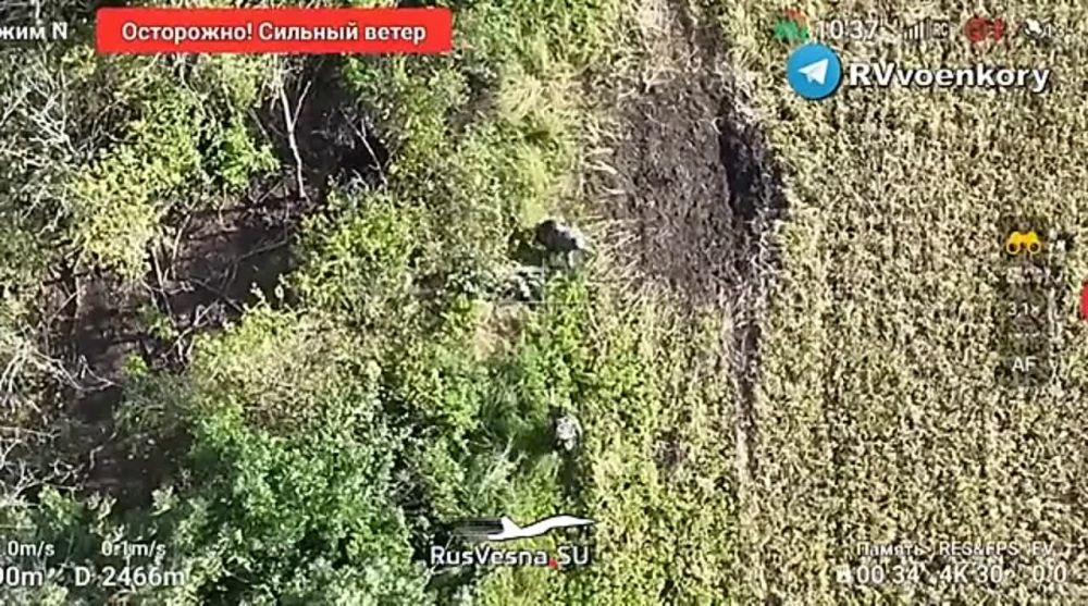 ��������� ��������� � ������ ����������� � ������ ��� � ���� � ���������