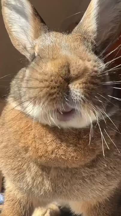 ������ ����!. ������ � �������� �� �������: