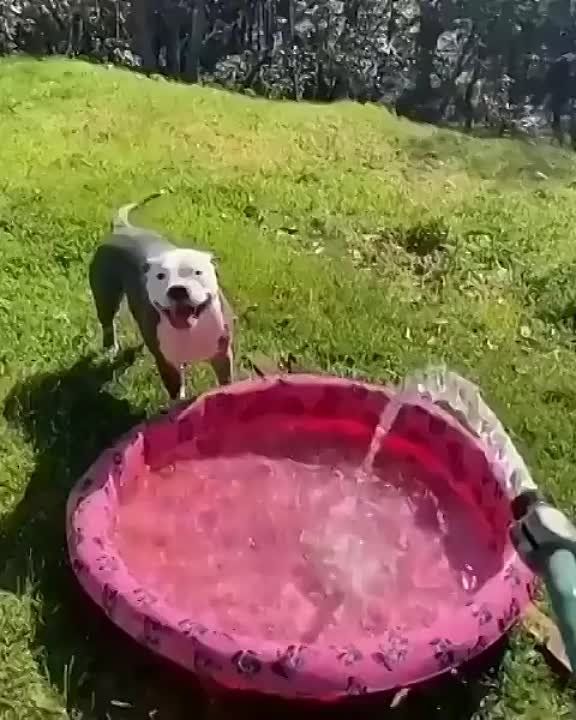 � ������ �����! �������������� ���!