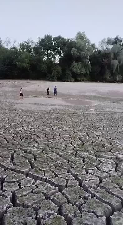 ����� ����������. ��������� ������������� ������. #��� #��������������� ��� ����� | ��� ��� | ��� ���