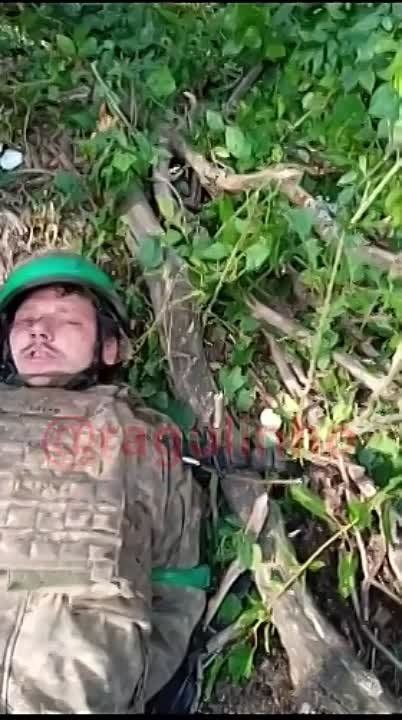 ��������� ������� � ���������� �����������