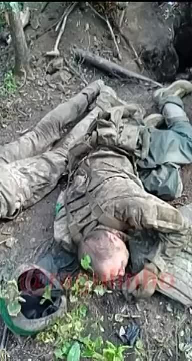 Записки ветерана: Купянское направление.. Бои продолжаются.