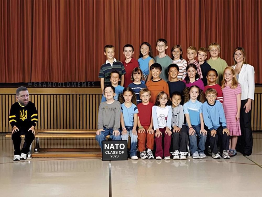 Зеленский и "партнеры" НАТО