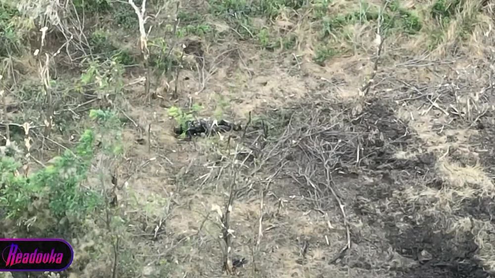 ��������� ����������� ������ ������� ���������� �������� � �� ���������� � ����� ��� �����-���� ������� ���������