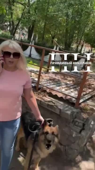 ������� ������������ ������������ � ������ ������� �� ���������� ��������